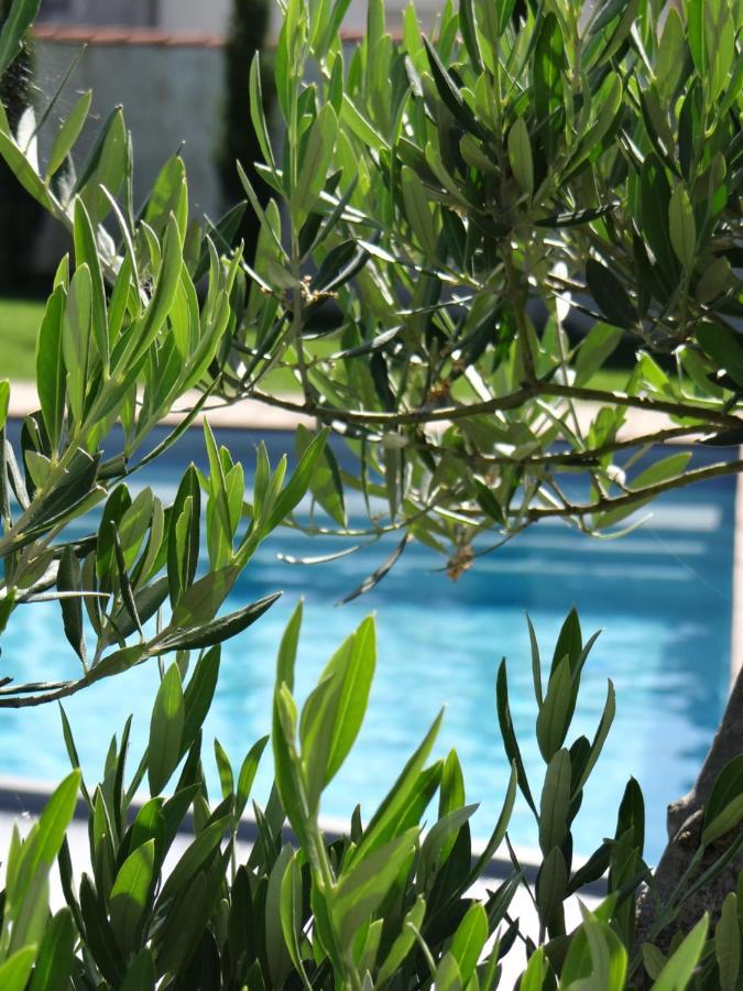 Les Marguerites Bed & Breakfast Champdolent Exterior photo